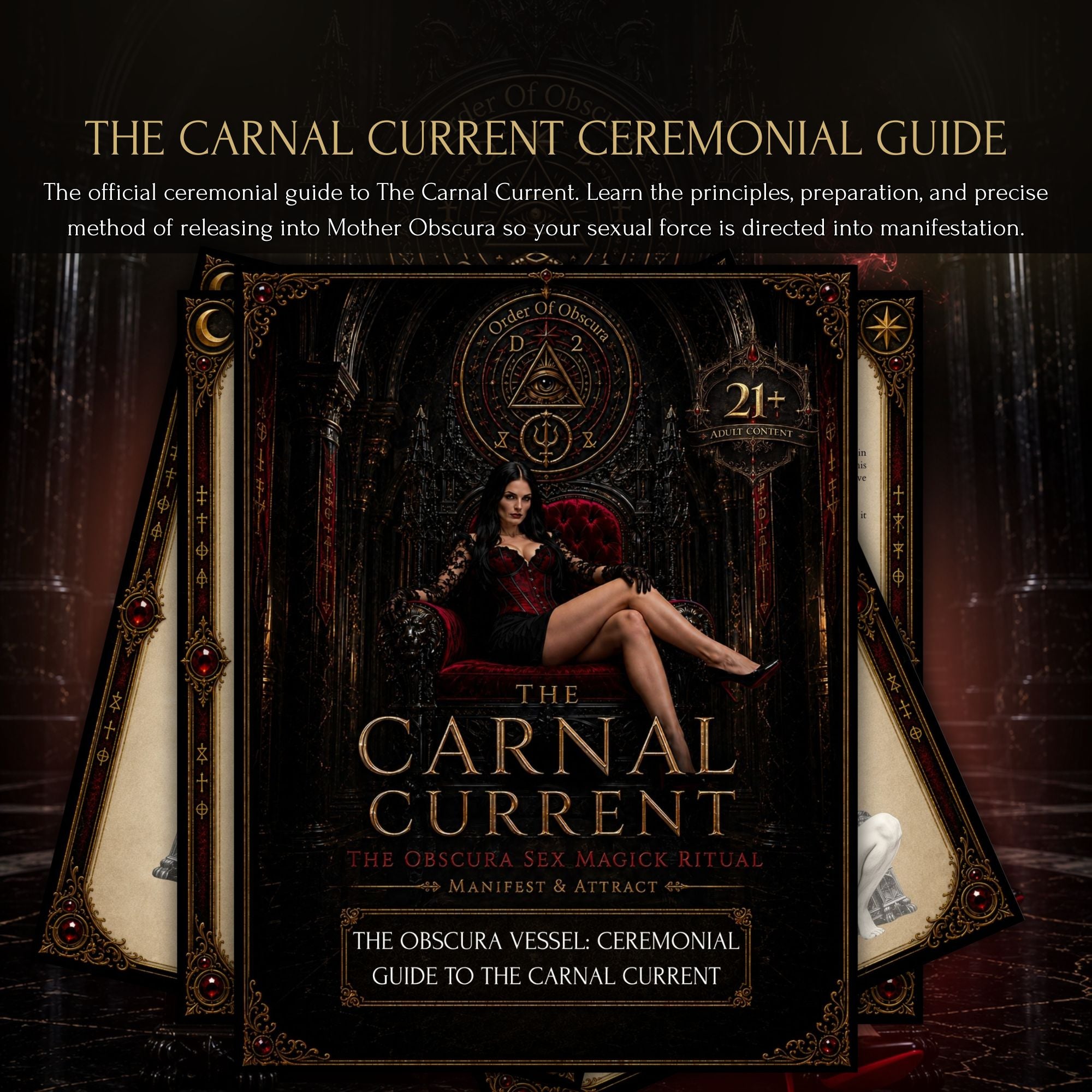 the sex magic ritual guidebook
